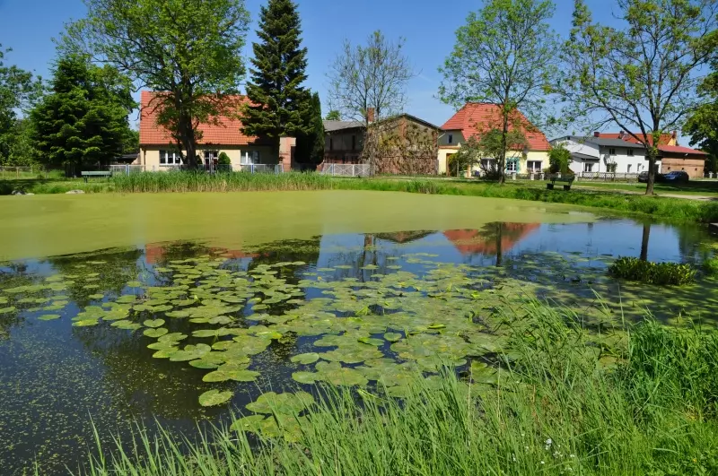 Vorpommern-Greifswald (c) Karin Höll